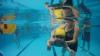 Club Encina Paddle-natacion para nios y bebes