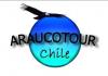 Araucotour Chile